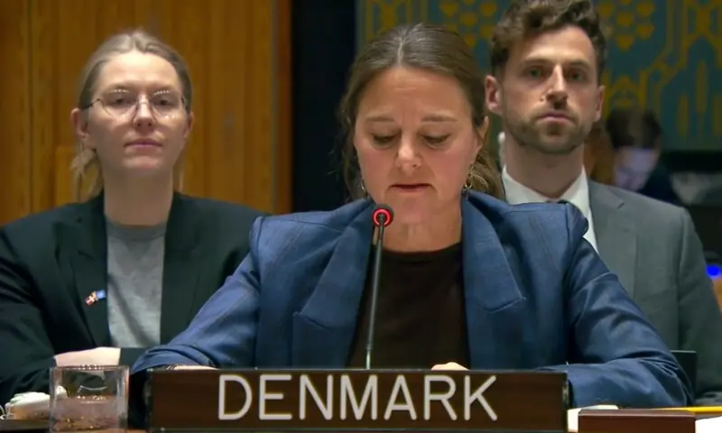 Denmark’s Deputy Permanent Representative to the United Nations Sandra Jensen Landi. — Screenshot courtesy UN WebTV website
